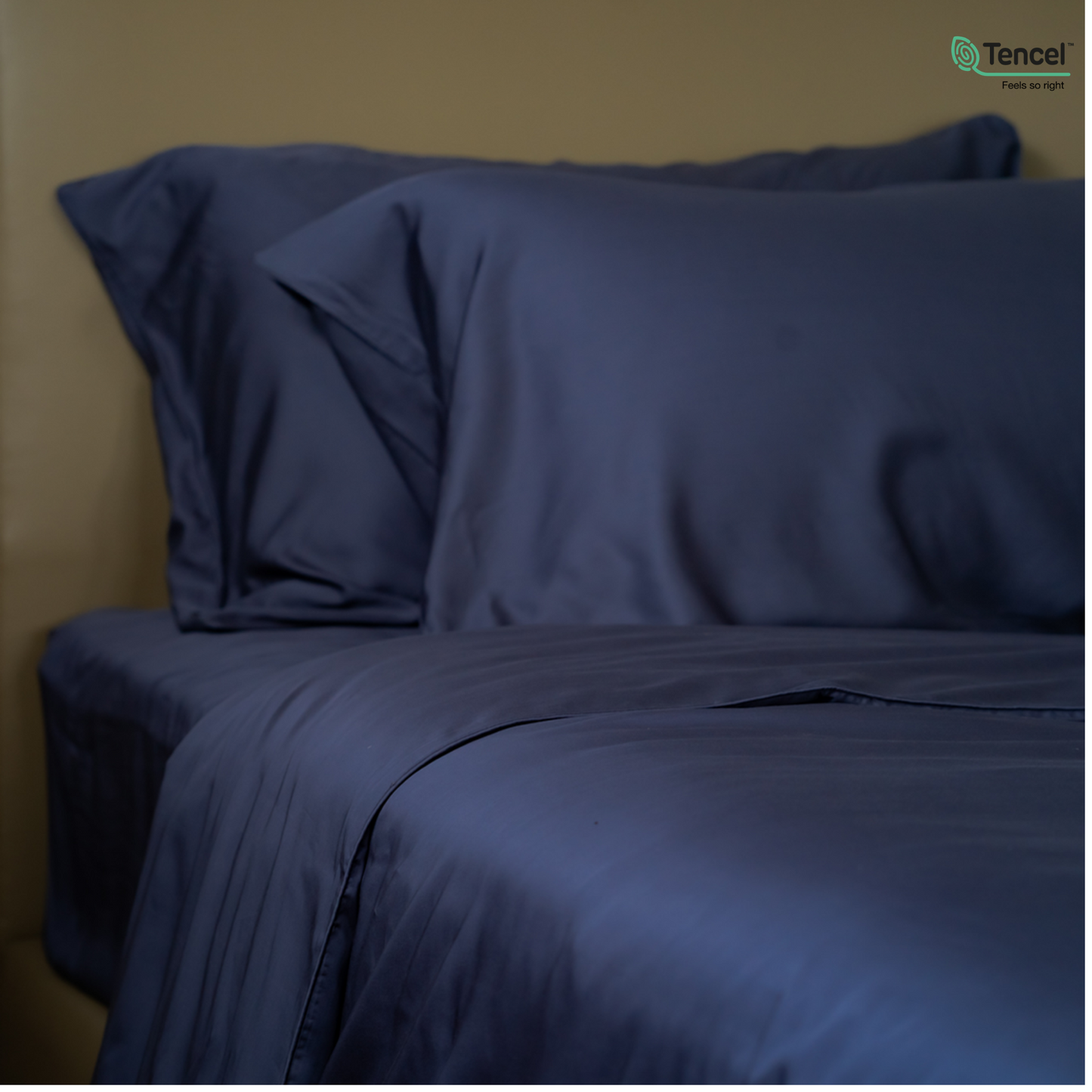 100% Lyocell Bedsheet Set Single